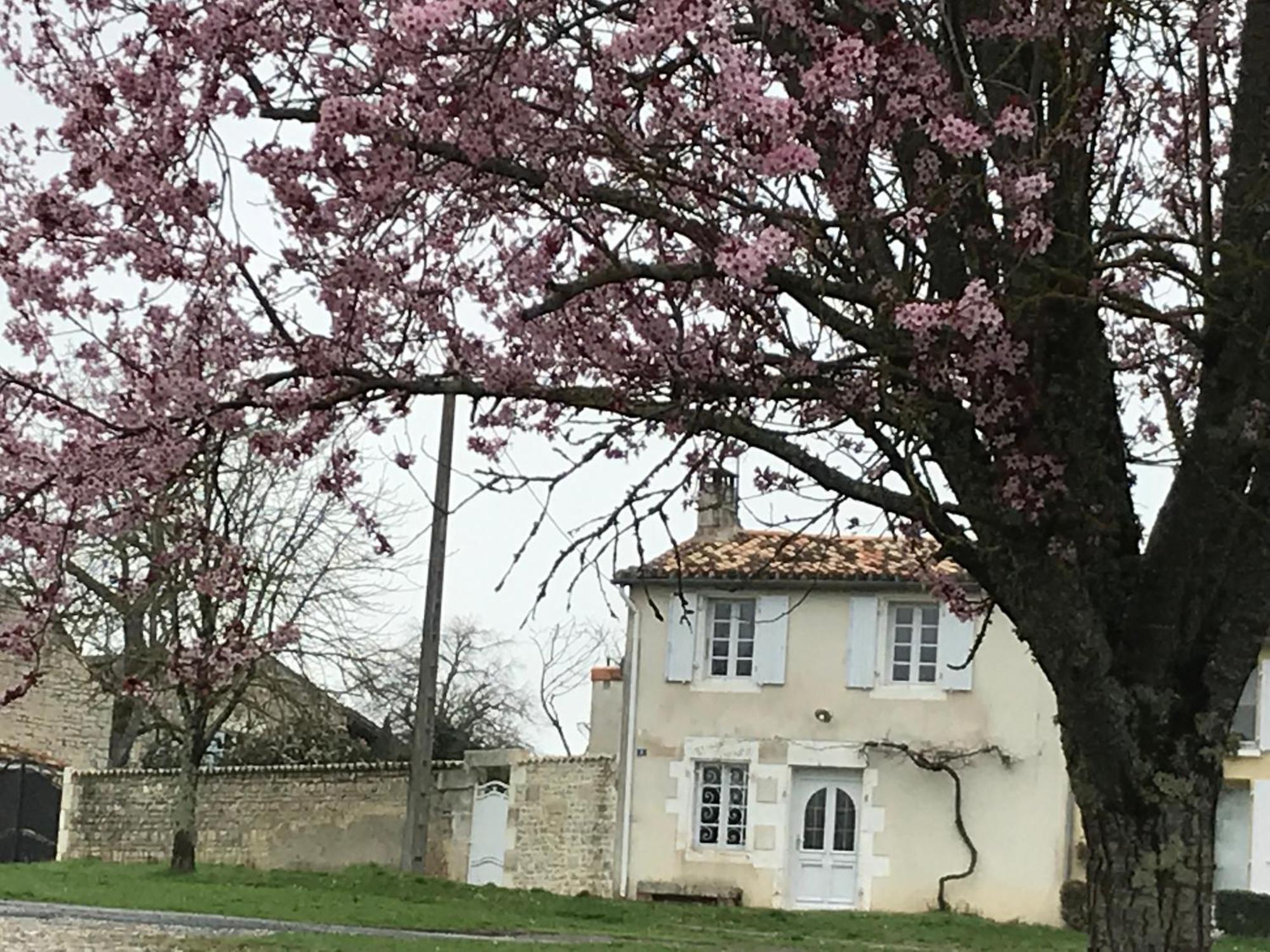 La Maison De Josephine Montignac-Charente Kültér fotó